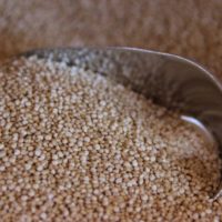Quinoa biologique chez Tootopoids, votre épicerie vrac itinérante du centre Alsace, secteur Sélestat, Vallée de Villé et dambach la Ville
