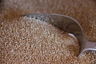 Quinoa biologique chez Tootopoids, votre épicerie vrac itinérante du centre Alsace, secteur Sélestat, Vallée de Villé et dambach la Ville