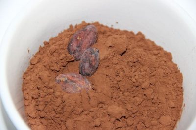 Cacao en poudre chez Tootopoids, l'épicerie du centre Alsace de vente de produits bio et 100% vrac.