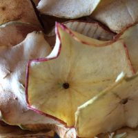 Chips de pommes séchées chez Tootopoids, épicerie itinérante en vrac et produits bio vallée de villé.