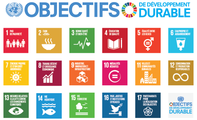 programme de développement durable