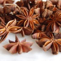 Badiane étoilé chez tootopoids, accompagneras vos infusions, vos biscuits de Noël